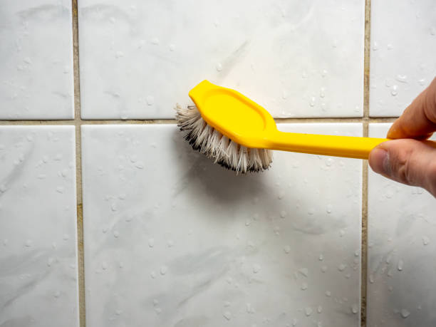 Best Toxic Mold Removal  in Waunakee, WI