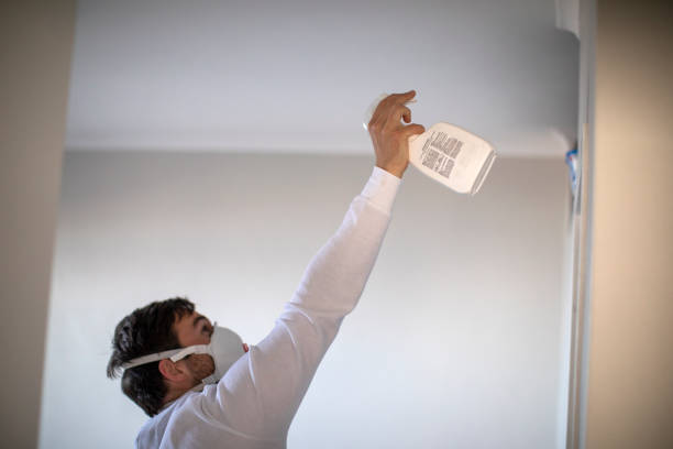 Best Commercial Mold Removal  in Waunakee, WI