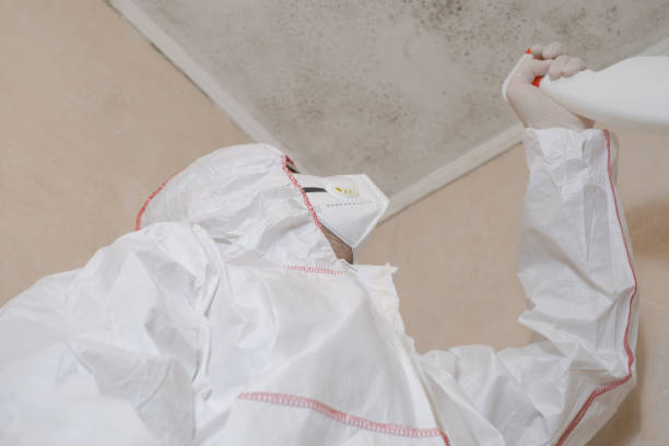 Best Black Mold Removal  in Waunakee, WI